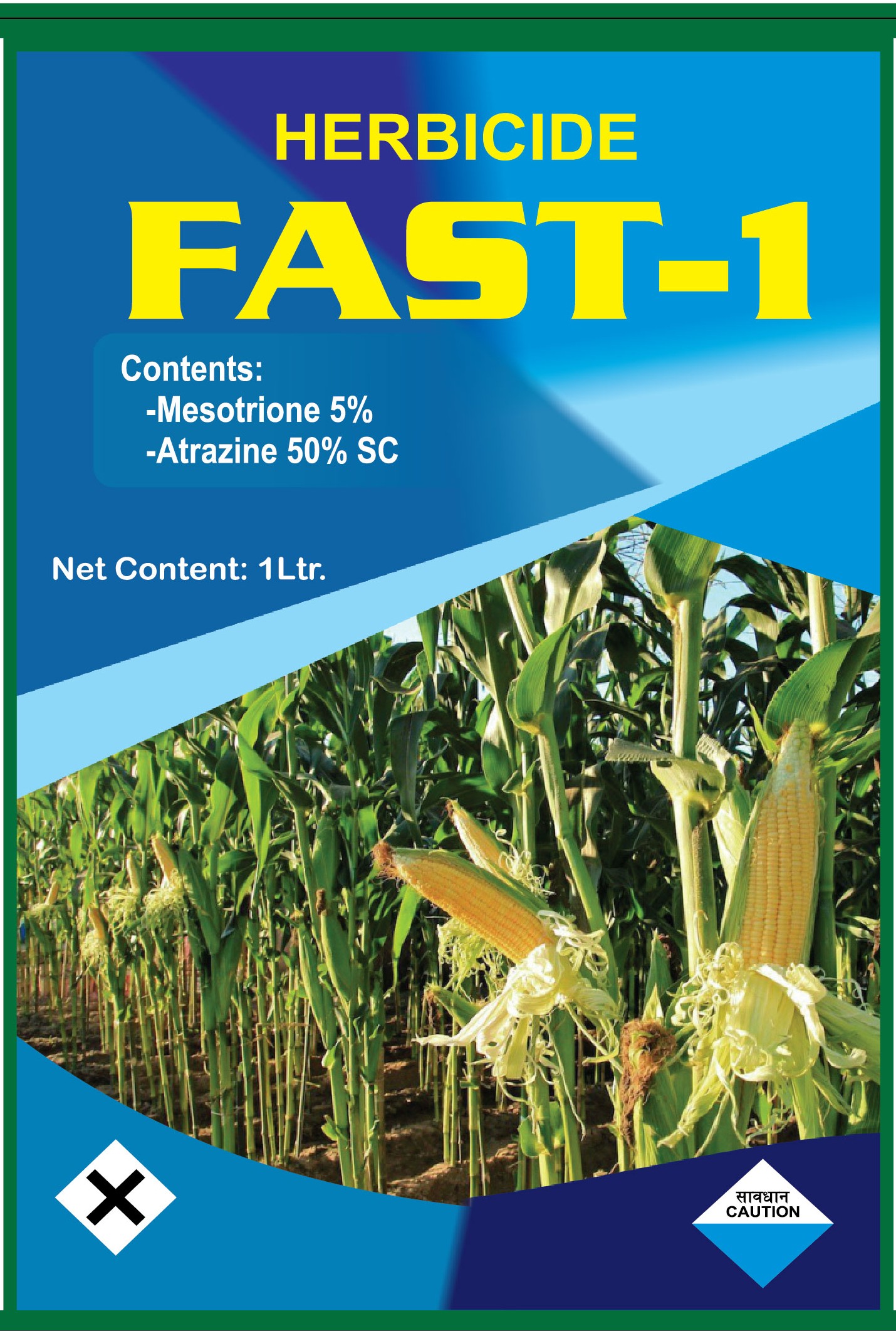 Fast-1